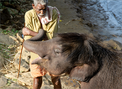 I haven't GOT any treats ! - Jill Sullivan