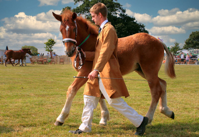 In step - Ian Bancroft