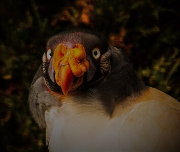 Mirror, mirror, on the wall... - Colin Bailey