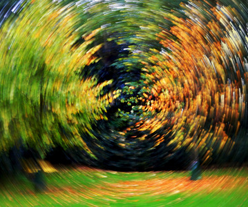 Autumn Swirl - Ian Bancroft