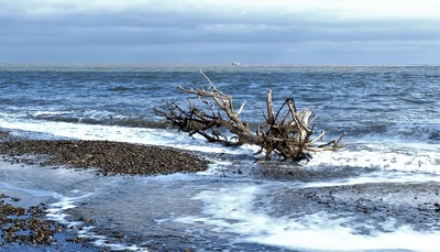 Beach Drifter - Andy Barnes