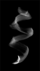 Freefall-Ann Laverock