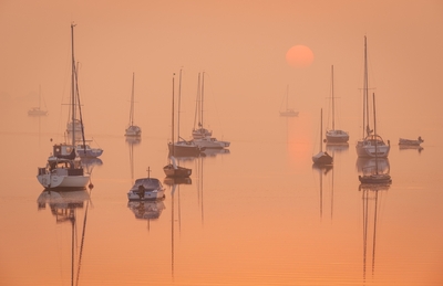 2023-24 Winners Album