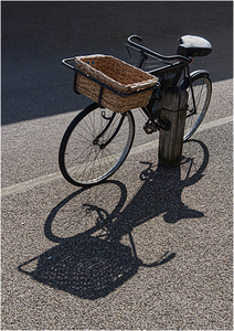 Fresh daily - Harvey Perkins