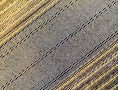 Harvest Time - Mark Rivers jpg