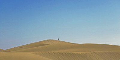 Just the Two of Us - Julie Humphries