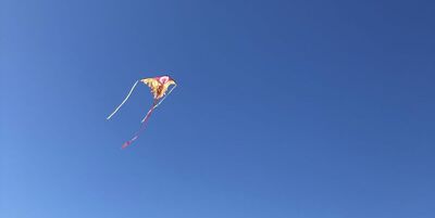 Lets go fly a kite Katharine Showell