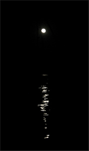 Moonlight from the Deck - Jill Sullivan