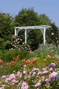 Come into the Garden - Julie Humphries