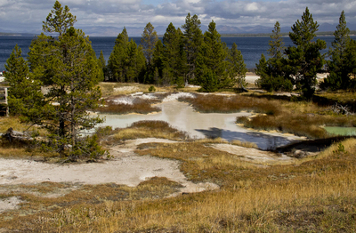 Yellowstone  USA - Jenny Tucker