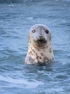 A Norfolk Resident - Andy Soar