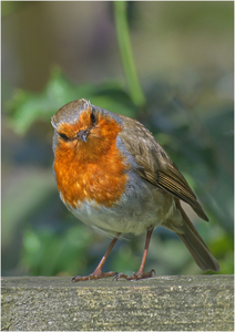 I don't pose for everyone - Harvey Perkins