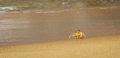 Ooh!.....Hello - Jill Sullivan