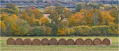 Autumn rolls in - Harvey Perkins