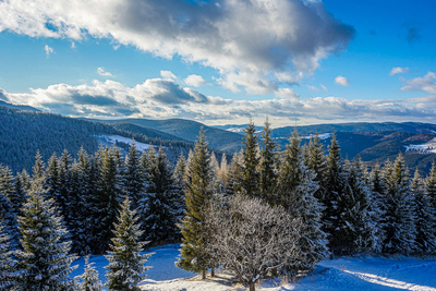 Transylvanian Alps - Samantha Innard