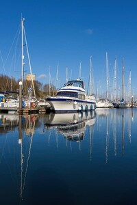 Midmorning At Shotley Marina - Pat Ainger