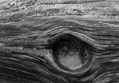 Ice in the Eye - Jill Sullivan