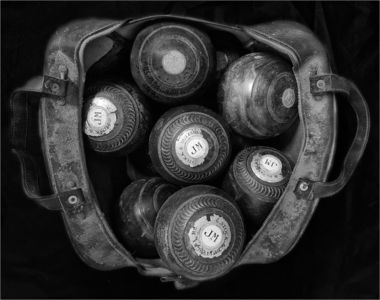 John Macaulays woods - Mark Rivers