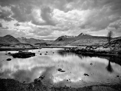 Rannock Moor - Viv Scurrell