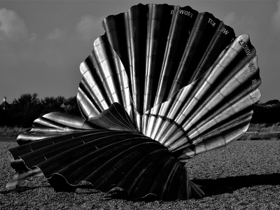 Shell - Colin Crittenden