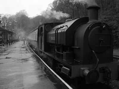 Steam - Colin Crittenden