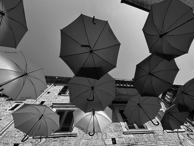 Up up and away - Sandra Crittenden