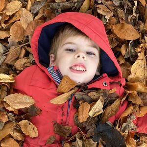 Thomas in leaves  - Katharine Showell