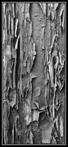 It's Just Paint - M Rivers