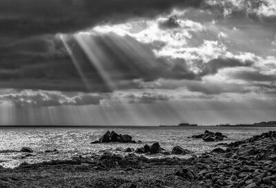 Sunbeams - Bob Adama