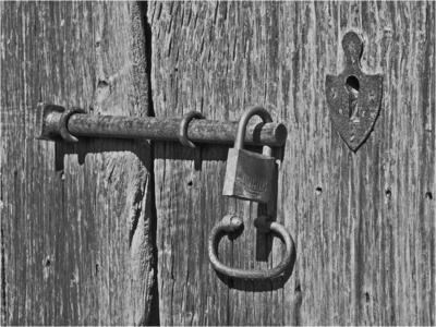 The Bolt - Hasje Mousley