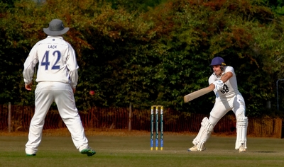 Willow on Leather - Tim Stott