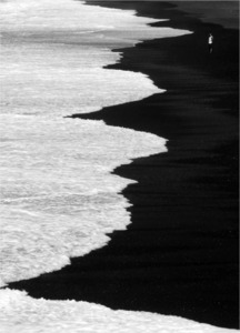 Black Beach Surfline - Brian Moyse