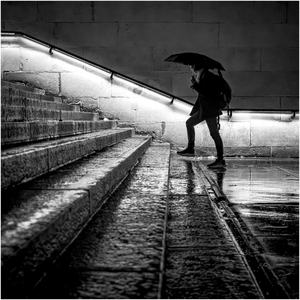 Nice Weather For Ducks - Andy Soar