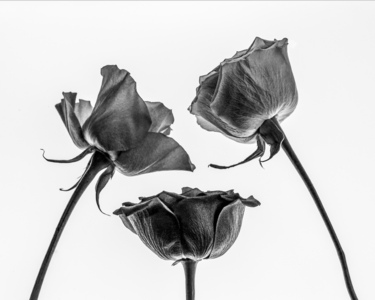 Two's Company, Three's A Crowd - Pat Ainger