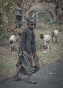The Little Goat Herder - Ian Parker