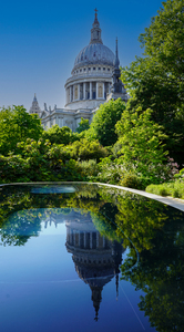 Where the City Pauses to Reflect  - Samantha Innard