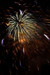 Remember Remember the 5th of November - Katharine Showell