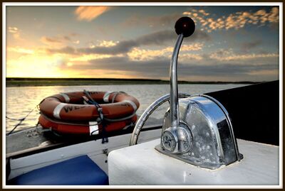 A Stern View - David Edwards