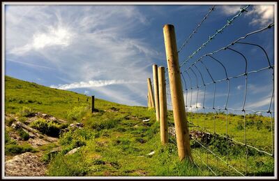 Don't Fence Me In - David Edwards