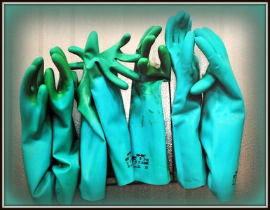 Green Fingers - Dave Edwards