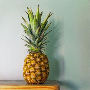 Pineapple - Bob Adams
