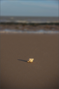 Spiral on the Sand - Ian Parker