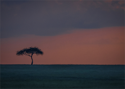 Sunset Silhouette - Ian Parker