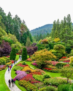 Butchart Gardens - Pat Ainger