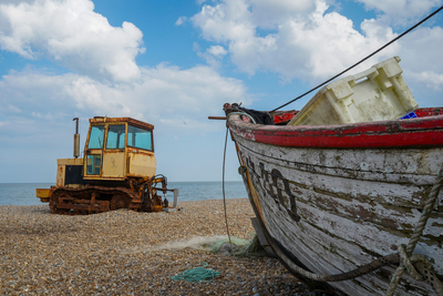 Coastal Companions - Samantha Innard