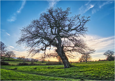 Forty thousand sunsets - and counting - Harvey Perkins