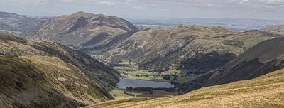Looking Down - Katharine Showell