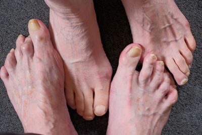 Body parts 5