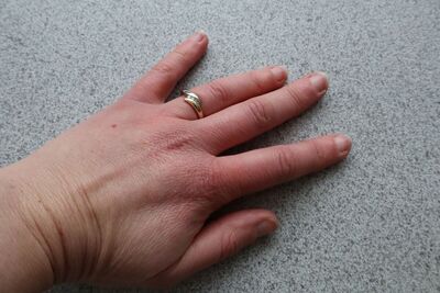Body parts 6