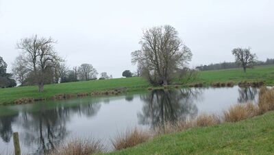 Reflection 5